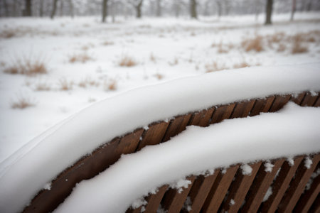 Detail of a snow-covered garden rakeの素材