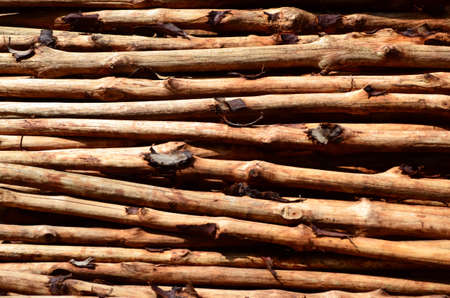 Wood Pattern Texturesの写真素材