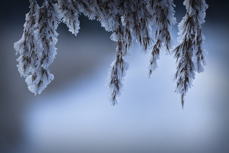 Winterの写真素材