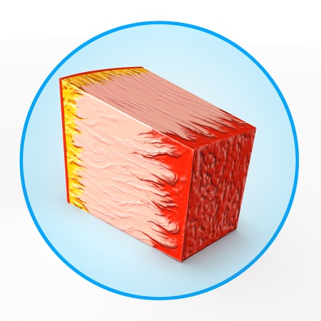 heart muscleの写真素材