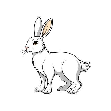 Creative Arctic Hare Coloring Animal Illustrationのイラスト素材