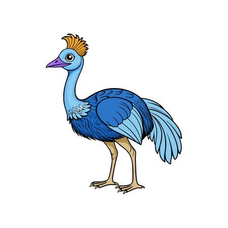 Cassowary Fun Coloring Page for Kidsのイラスト素材
