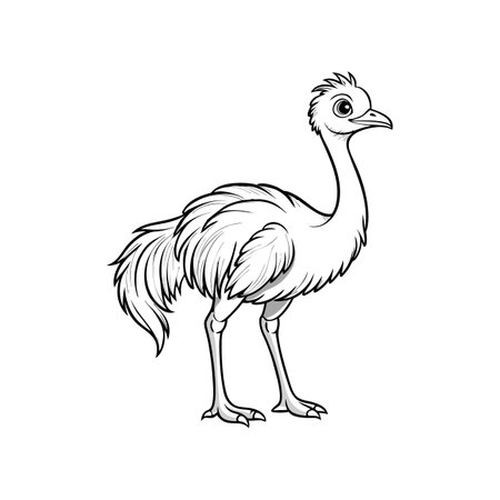 Emu Coloring Page for Kidsのイラスト素材