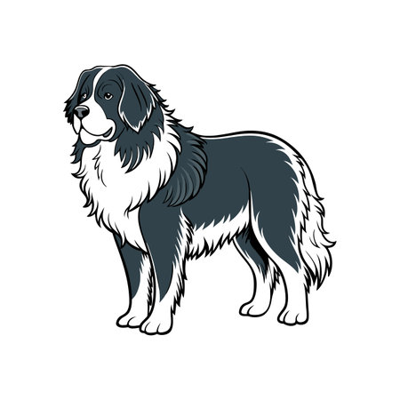 Artistic Newfoundland Animal Coloring Illustrationのイラスト素材