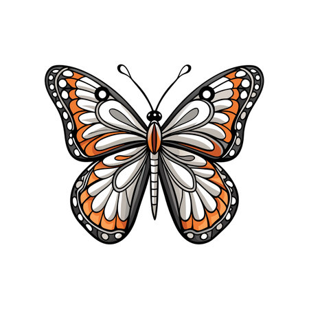 Artistic Viceroy Butterfly Coloring Animal Designのイラスト素材