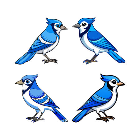 Blue Jay Coloring Illustration with Outlineのイラスト素材