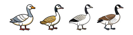 Canadian Goose Fun Coloring Page for Kidsのイラスト素材