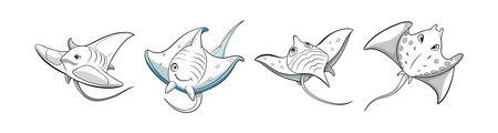 Stingray Animal Coloring Illustration for Kids Fun