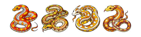 Charming Reticulated Python Coloring Design for Kids