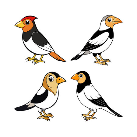 Bobolink Coloring Animal Illustration Designのイラスト素材