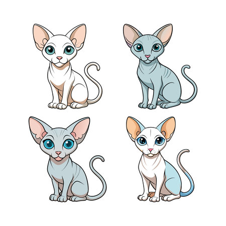 Charming Sphynx Cat Coloring Design for Kidsのイラスト素材
