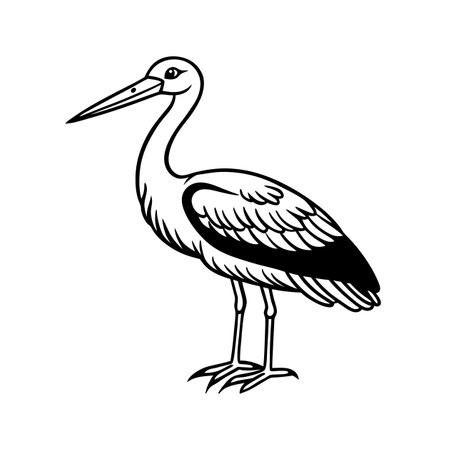 Unique Abdims Stork Linocut Arts Animal Designのイラスト素材