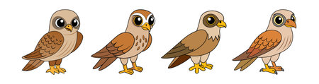 Elegant Kestrel Animal Coloring Illustrationのイラスト素材
