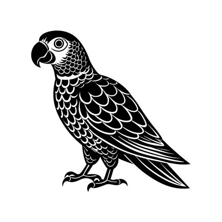 Vibrant African Grey Parrot Animal Designのイラスト素材