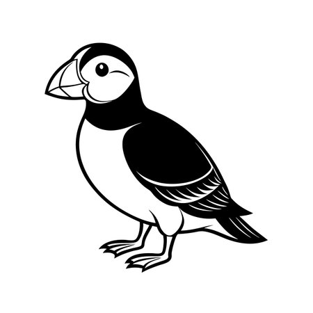 Detailed Atlantic Puffin Linocut Arts Page Designのイラスト素材