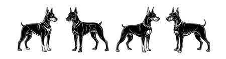 Doberman Fun Linocut Arts Page for Kidsのイラスト素材