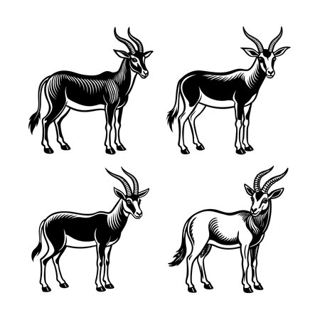 Arabian Oryx Linocut Arts Animal Illustration Designのイラスト素材