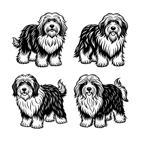 Majestic Old English Sheepdog Animal Illustrationのイラスト素材