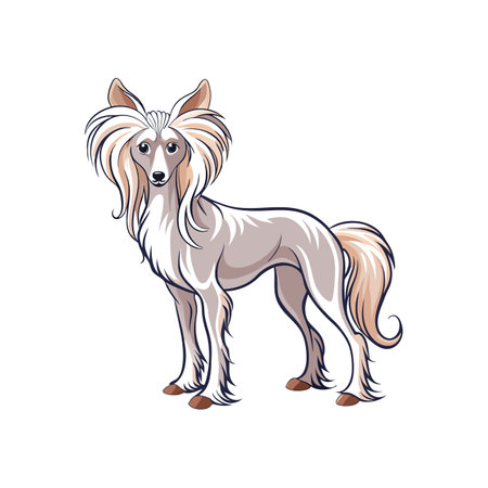 Stunning Chinese Crested Dog in Beautiful Settingのイラスト素材