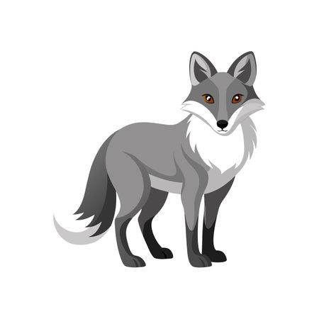 Stunning Gray Fox in Beautiful Settingのイラスト素材