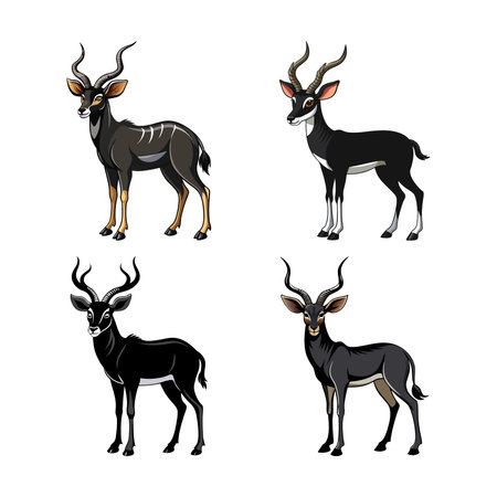 Realistic Blackbuck Antelope Color Illustrationのイラスト素材