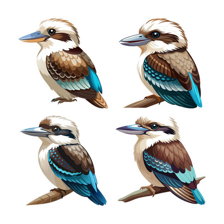 Charming Kookaburra in Natural Habitatのイラスト素材