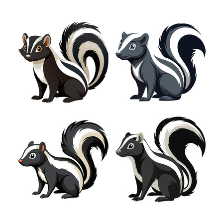 Charming Skunk Color Illustrationのイラスト素材