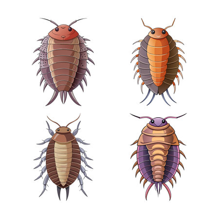 Majestic Isopod Color Illustrationのイラスト素材