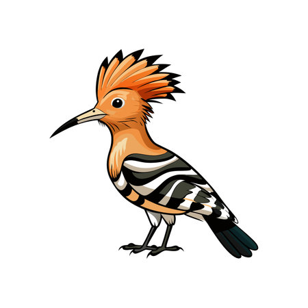 Detailed African Hoopoe Depictionのイラスト素材