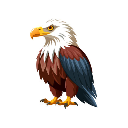 Realistic African Fish Eagle Illustrationのイラスト素材