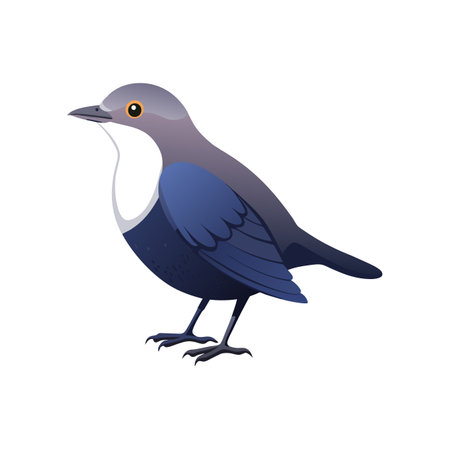 Charming American Dipper Bird Artwork