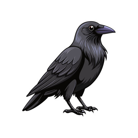 Charming American Crow Bird Illustrationのイラスト素材