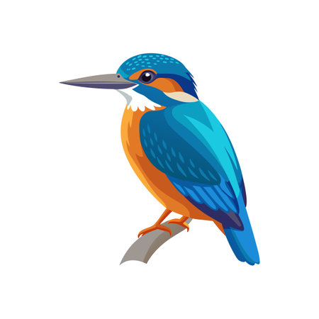 Vivid Azure Kingfisher Bird Designのイラスト素材