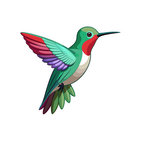 Vibrant Anna's Hummingbird Artworkのイラスト素材