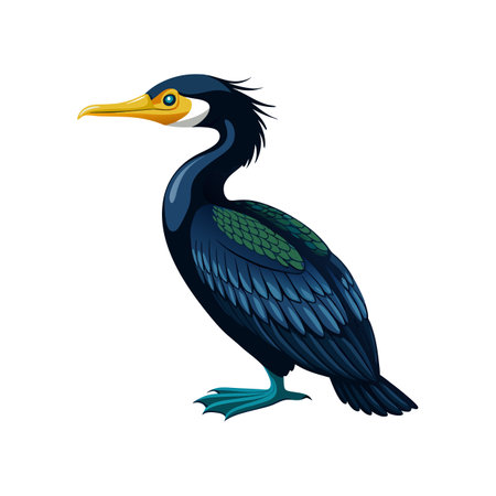 Vibrant Bank Cormorant Artworkのイラスト素材