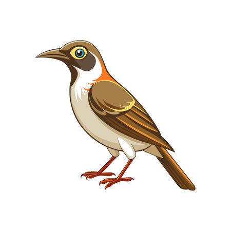 Stunning Bar-Breasted Honeyeater Designのイラスト素材