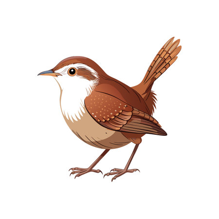 Stunning Bewick's Wren Colorful Illustrationのイラスト素材