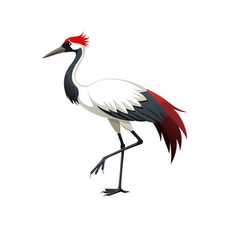 Realistic Black-Necked Crane Illustrationのイラスト素材