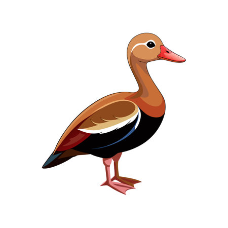Charming Black-Bellied Whistling Duck Artworkのイラスト素材