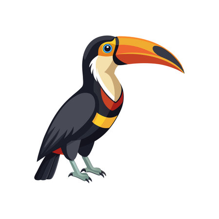Stunning Black-Necked Aracari Designのイラスト素材