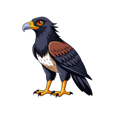 Vivid Black-Breasted Buzzard Bird Designのイラスト素材