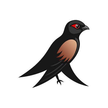 Stunning Black Swift Designのイラスト素材