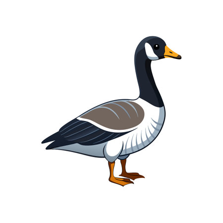 Stunning Brant Goose Bird Colorful Illustrationのイラスト素材