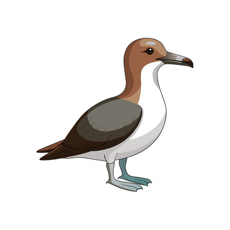 Vivid Buller's Shearwater Bird Designのイラスト素材