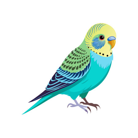 Vivid Budgerigar Bird Artworkのイラスト素材