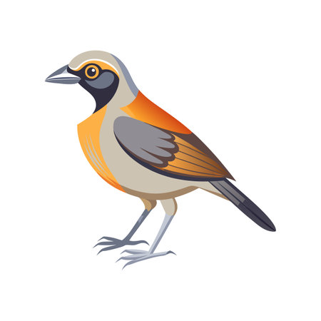 Charming Buff-Throated Saltator Bird Illustrationのイラスト素材