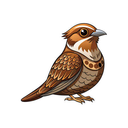 Stunning Buff-Collared Nightjar Bird Representationのイラスト素材