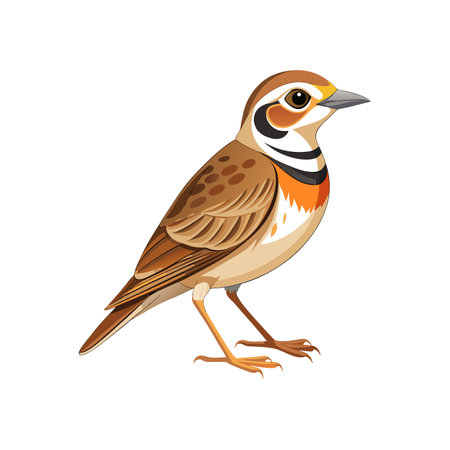 Vibrant Cape Clapper Lark Bird Artworkのイラスト素材