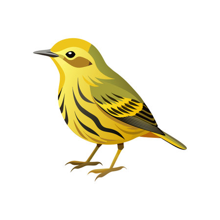 Detailed Cape May Warbler Bird Artworkのイラスト素材