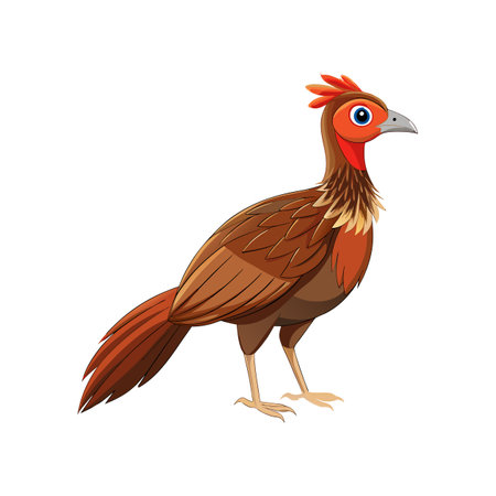 Elegant Chachalaca Bird Vectorのイラスト素材